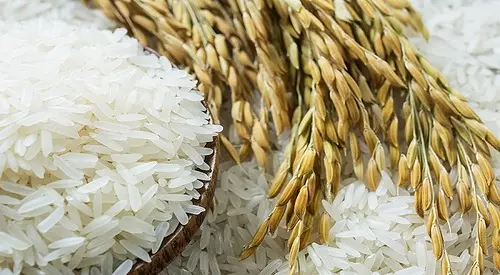 Indonesia sering mengalami fluktuasi produksi beras